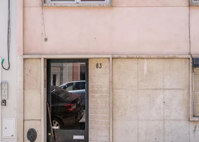 Akicity Estrela Lush